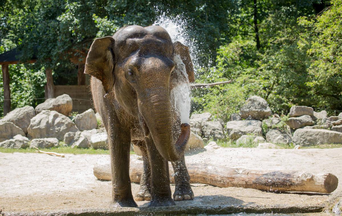 ZOO Ljubljana