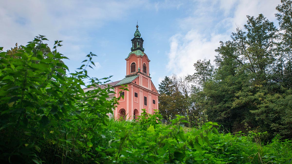 Roznik-4-Matej-Povse__ScaleMaxWidthWzE5MDBd