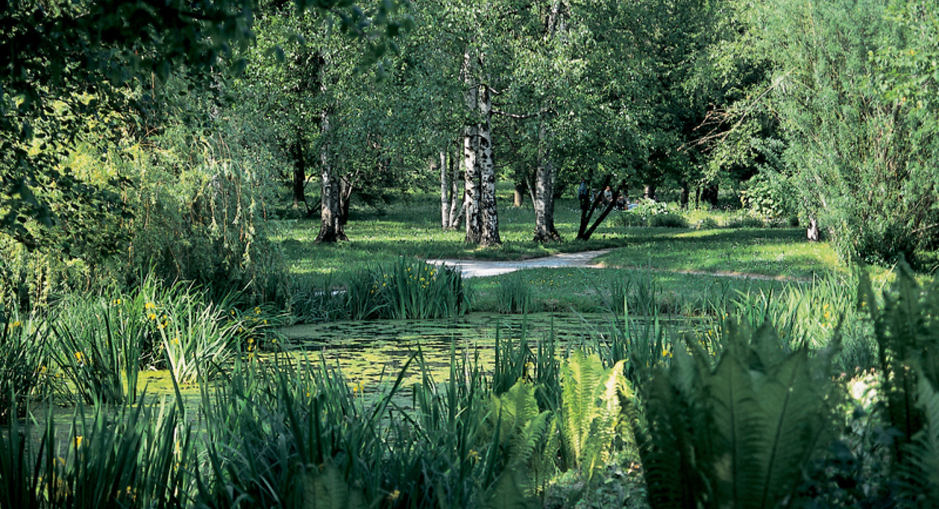 Ljubljana botanical garden, Slovenia