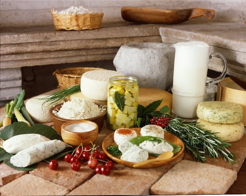Slovenian cheese