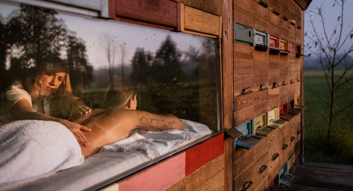 BEE TREATMENT IN SLOVENIA